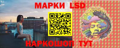 мяу мяу мука Аргун