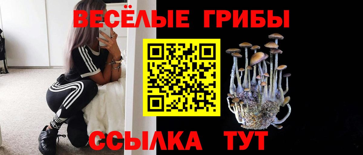 цена наркотик  Галлюциногенные грибы MAGIC MUSHROOMS  Вход с VPN  Балаково 